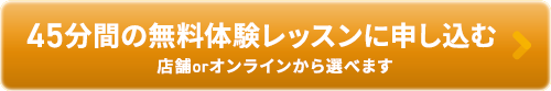 45分間の無料体験レッスンに申し込む