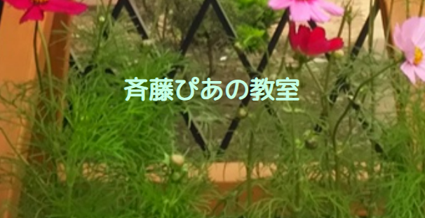 斉藤ぴあの教室