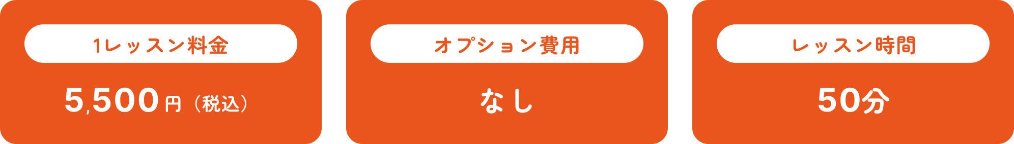レッスン料金　オプション費用　レッスン時間
